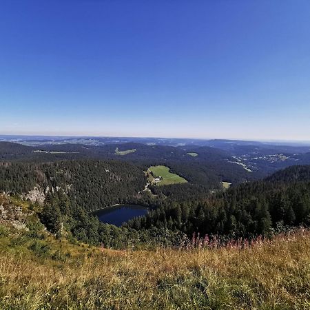 Fewo 1 - Residenz Schauinsland - Mit Sauna, E-Ladestation, Todtnauberg, Bei Feldberg 외부 사진