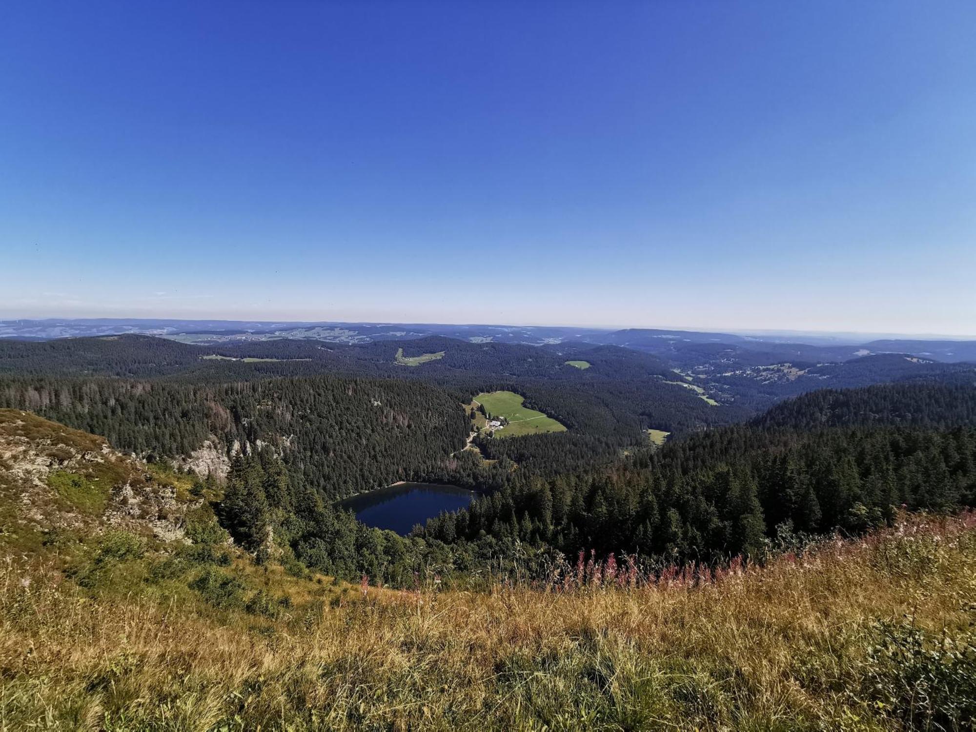 Fewo 1 - Residenz Schauinsland - Mit Sauna, E-Ladestation, Todtnauberg, Bei Feldberg 외부 사진