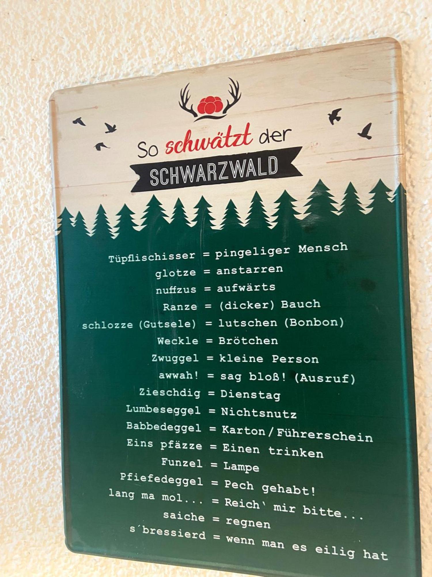 Fewo 1 - Residenz Schauinsland - Mit Sauna, E-Ladestation, Todtnauberg, Bei Feldberg 외부 사진